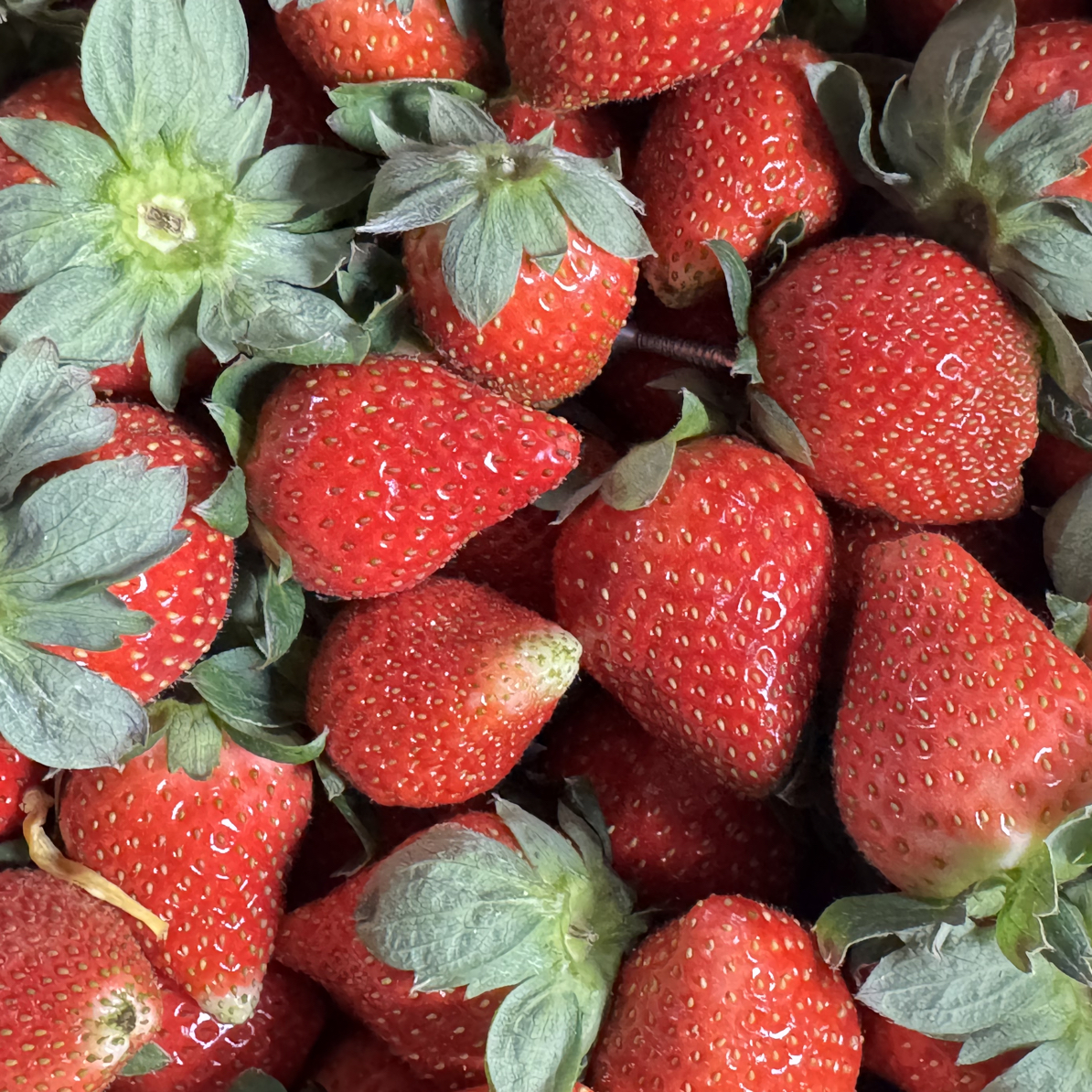 本地草莓 约500g