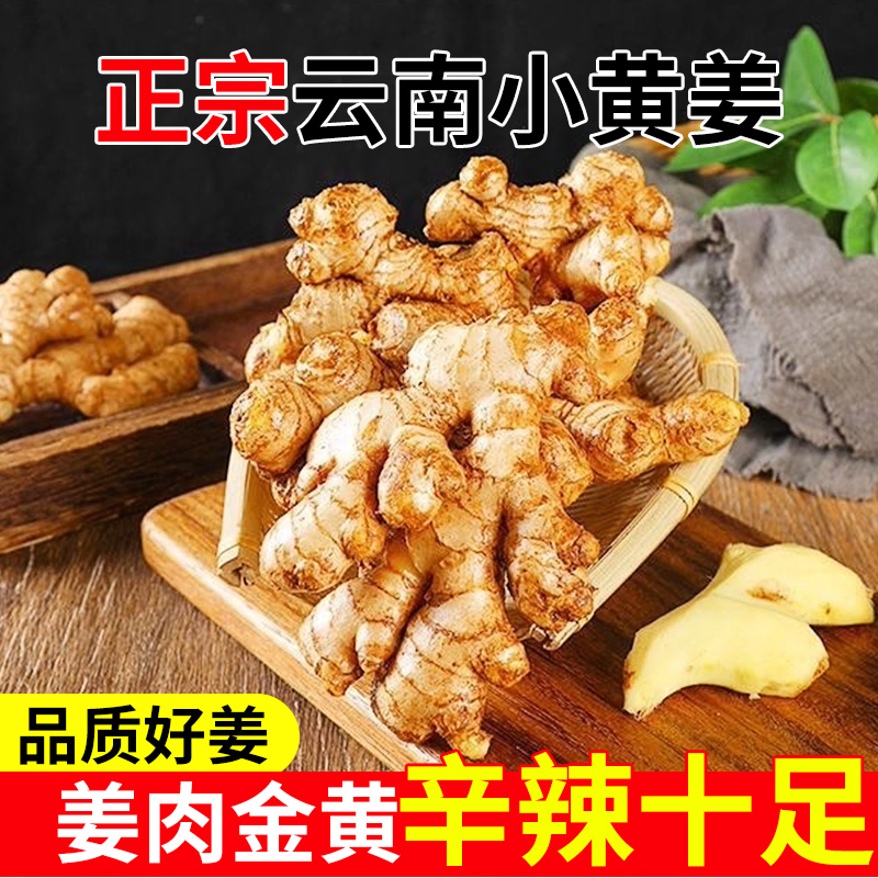 2025新鲜采挖新姜正宗云南小黄姜新鲜现挖当季姜月子姜红整箱批发