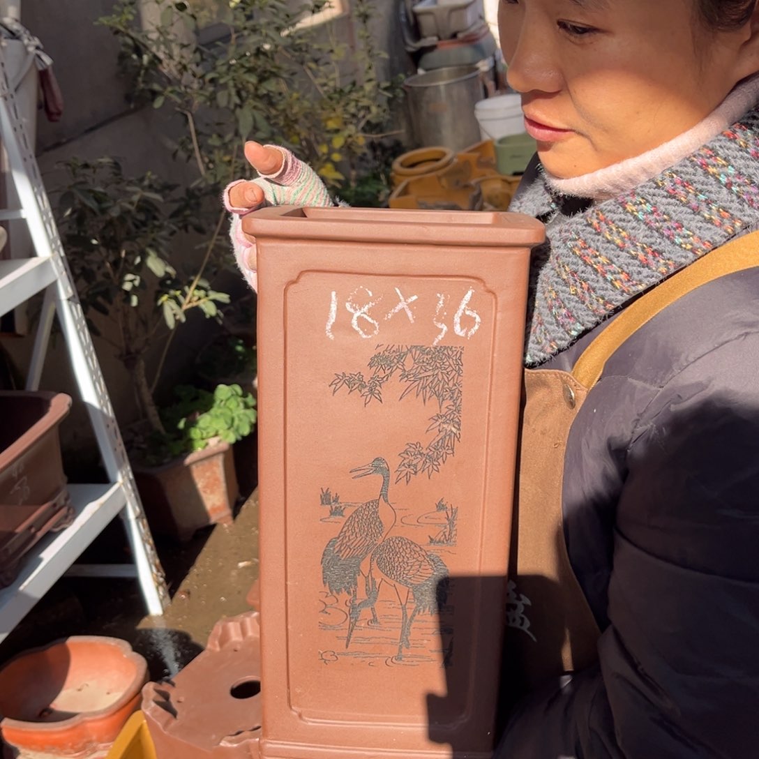 紫砂花盆盆景艺术