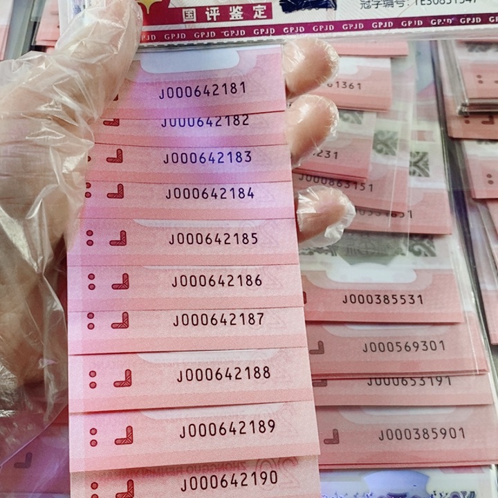 塑料蛇钞标十000642181小司令要发发