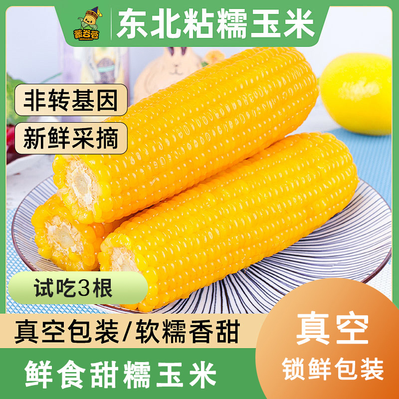 【3根试吃】东北黄金玉米棒新鲜甜糯粘黏玉米真空装苞米粗粮代餐