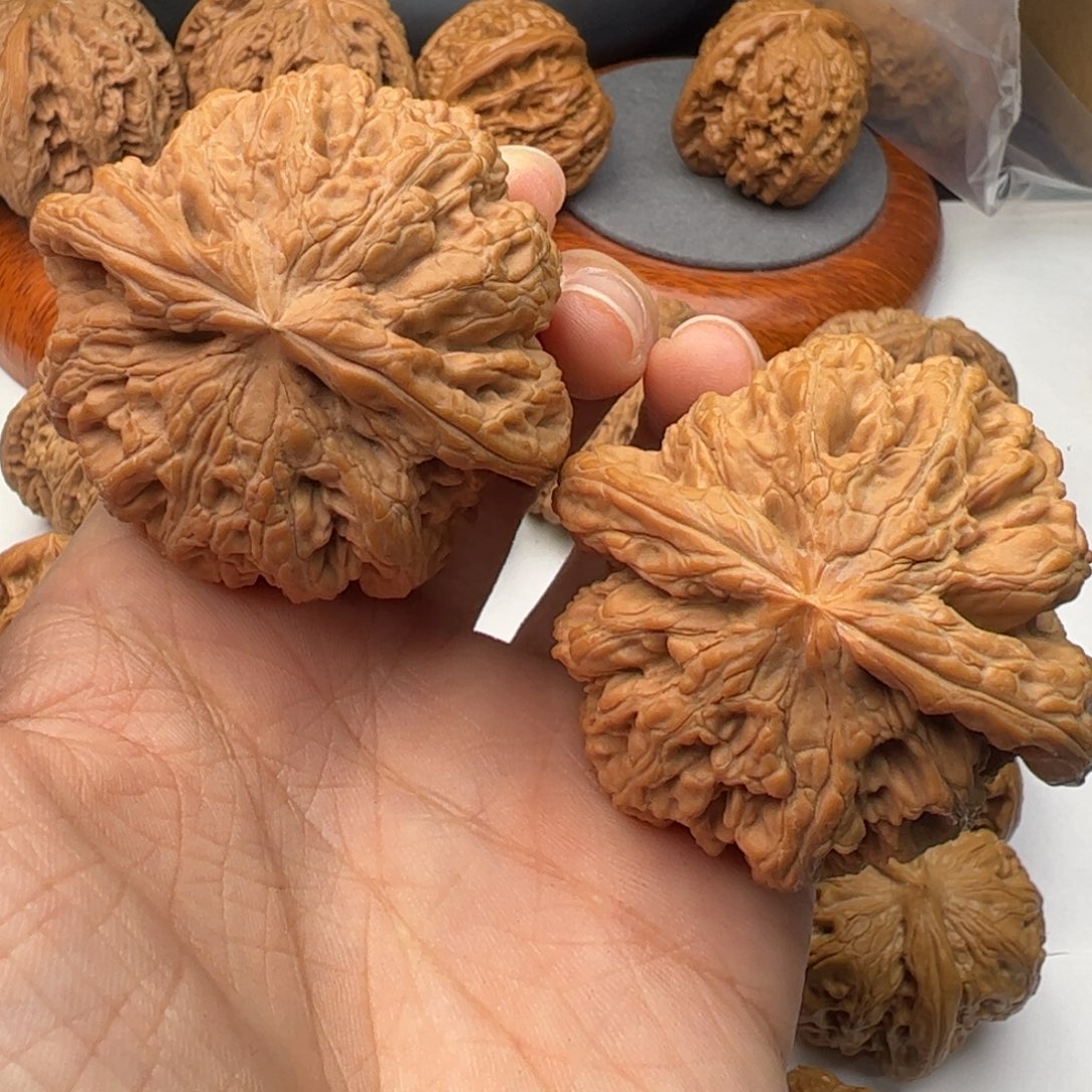 文玩核桃吊坠48粗筋