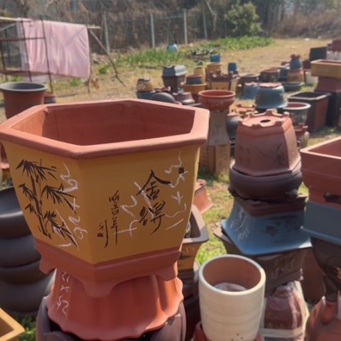 紫砂花盆紫砂花盆盆景盆栽