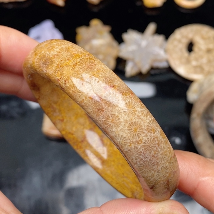 硅化珊瑚（珊瑚玉）手镯未镶嵌56.2