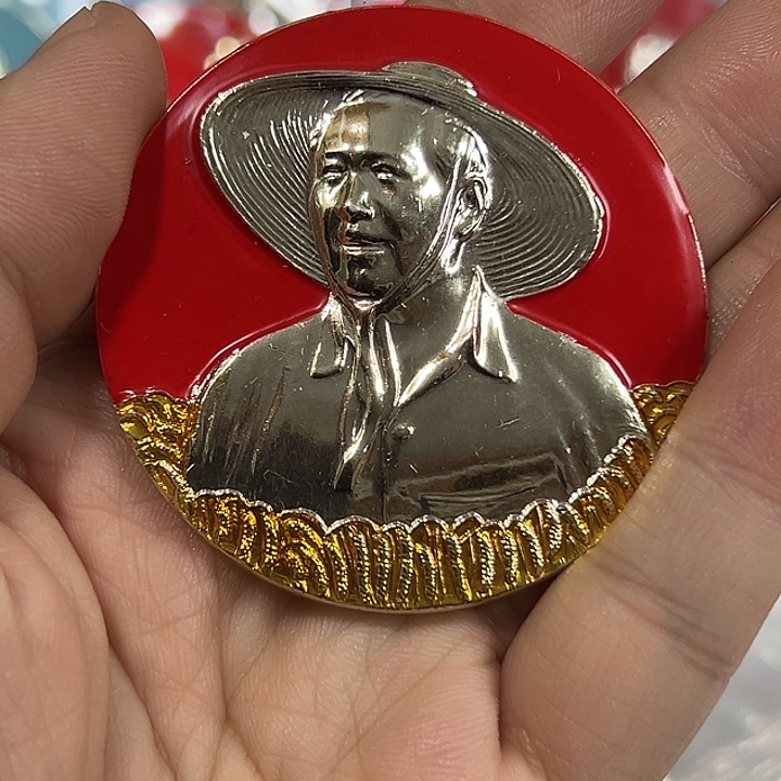 湖***人其他普通金属纪念章