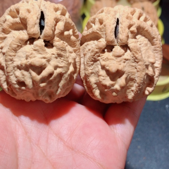 文玩核桃把件乾坤鬼脸核