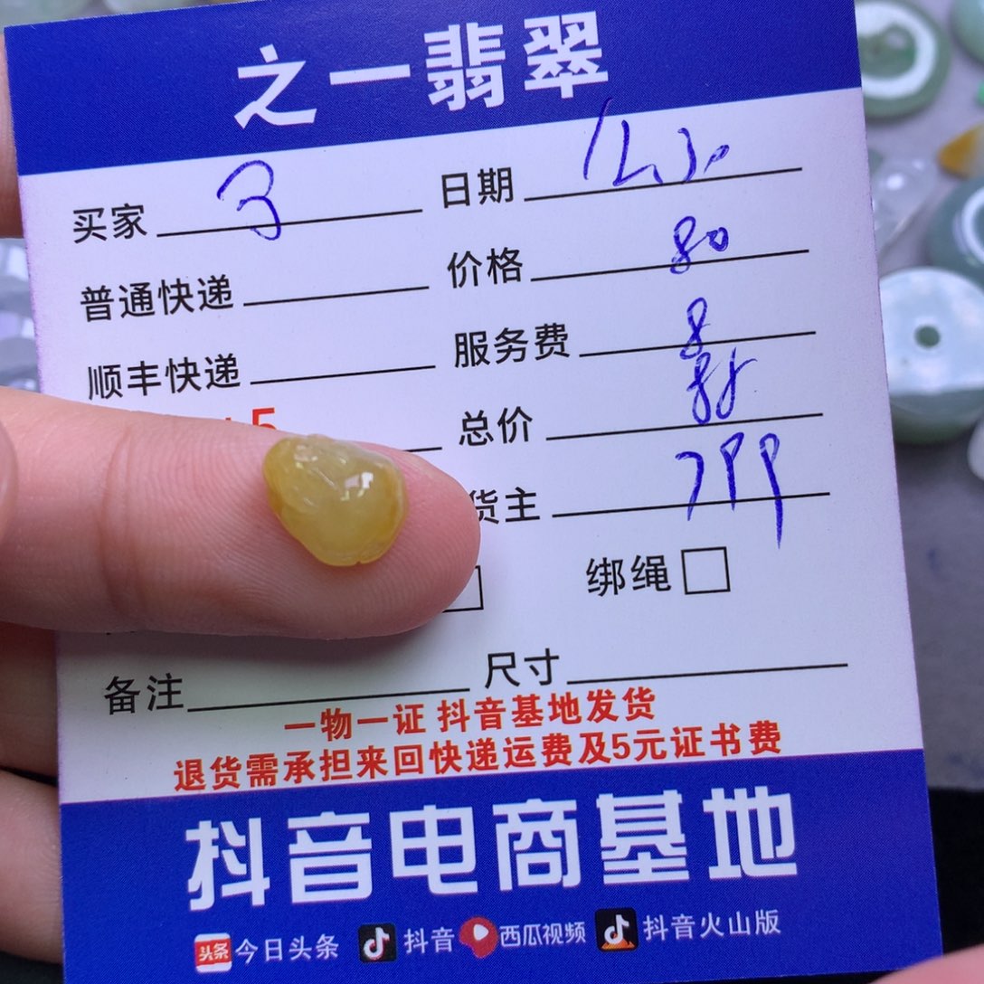 颈饰未镶嵌翡翠鮑****饰
