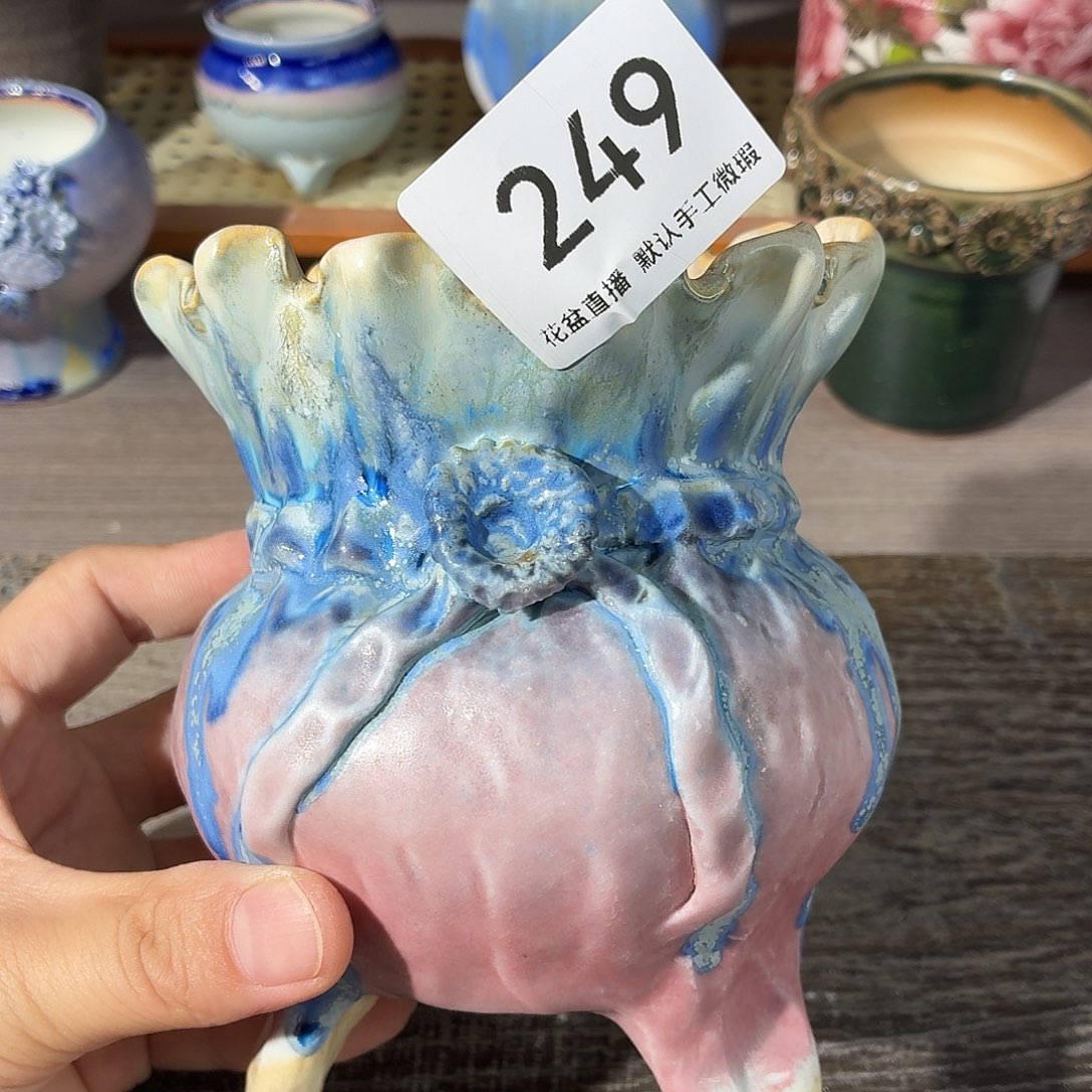 花盆花盆花盆花盆