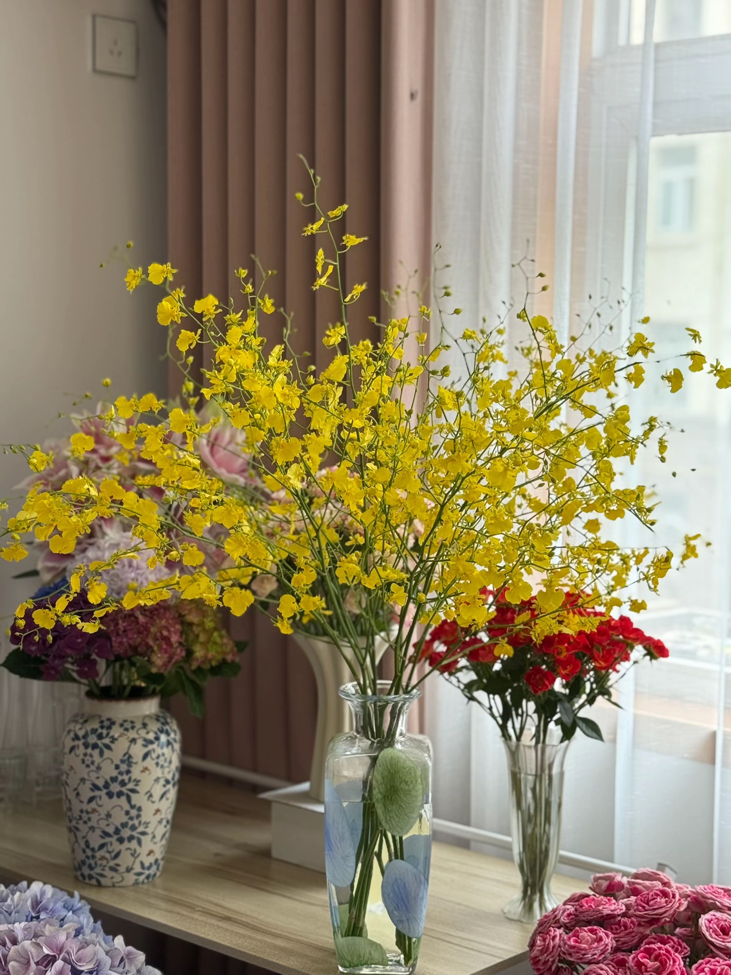 【跳舞兰/吉祥兰鲜切花】花期长好养护