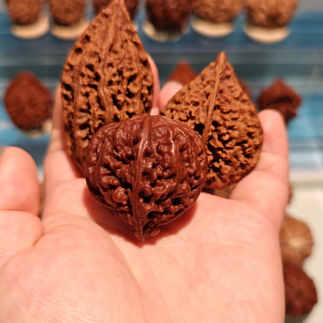 文玩核桃吊坠东北野生秋子一棵树一个品种一棵树走色