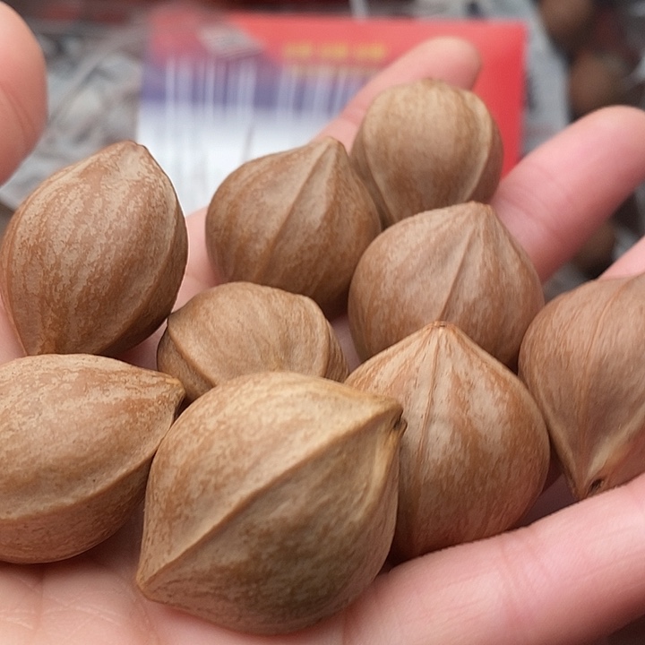 手串/手链橄榄核猴**雪