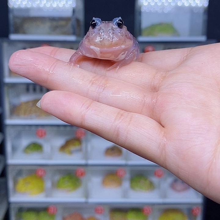 特价秒杀现货特价残