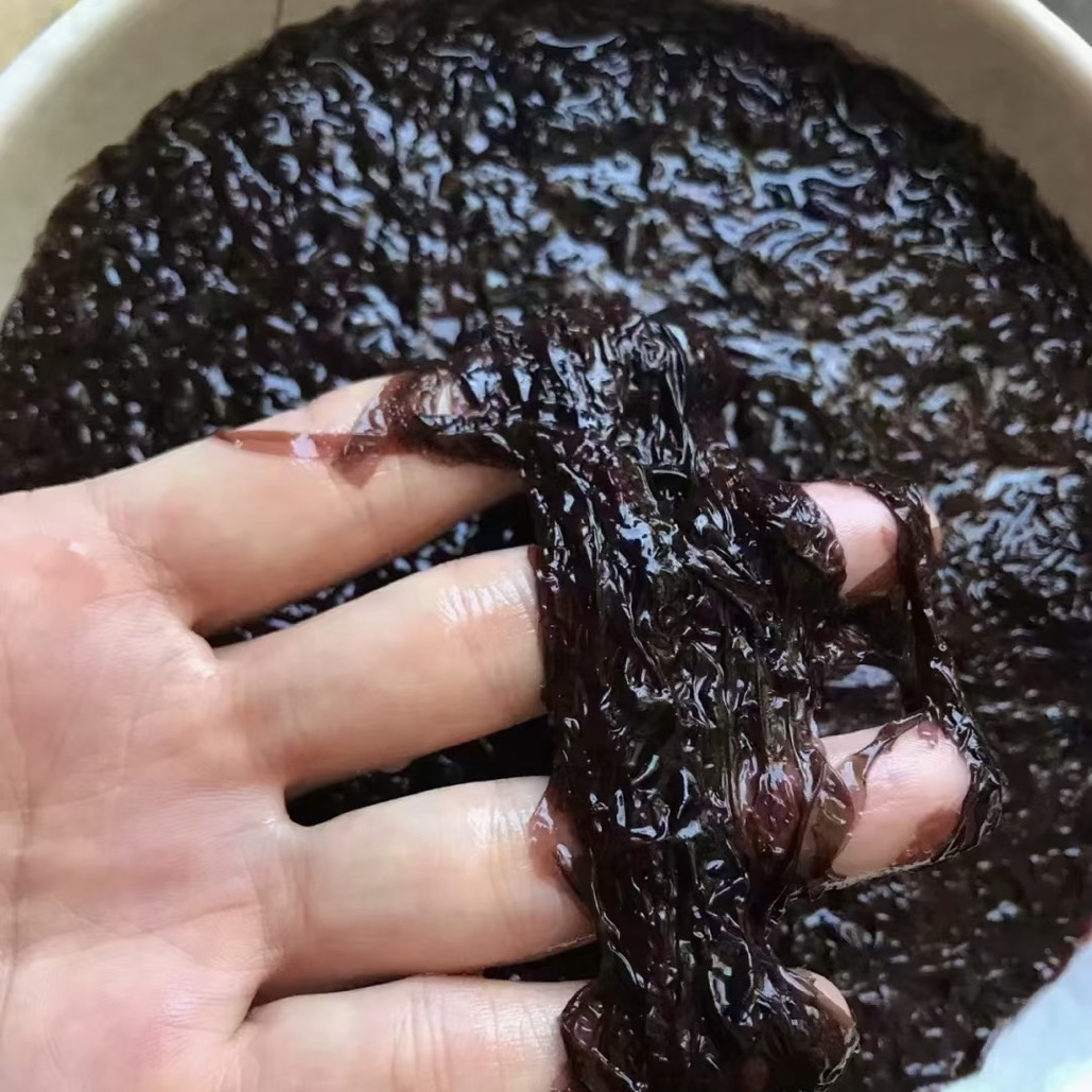 鲜紫菜  一盒250克  发8盒到手4斤 可炖汤 炒菜凉拌冷链发~