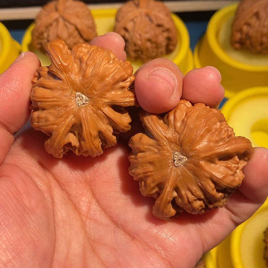 吊坠文玩核桃白狮子三棱40的拼接