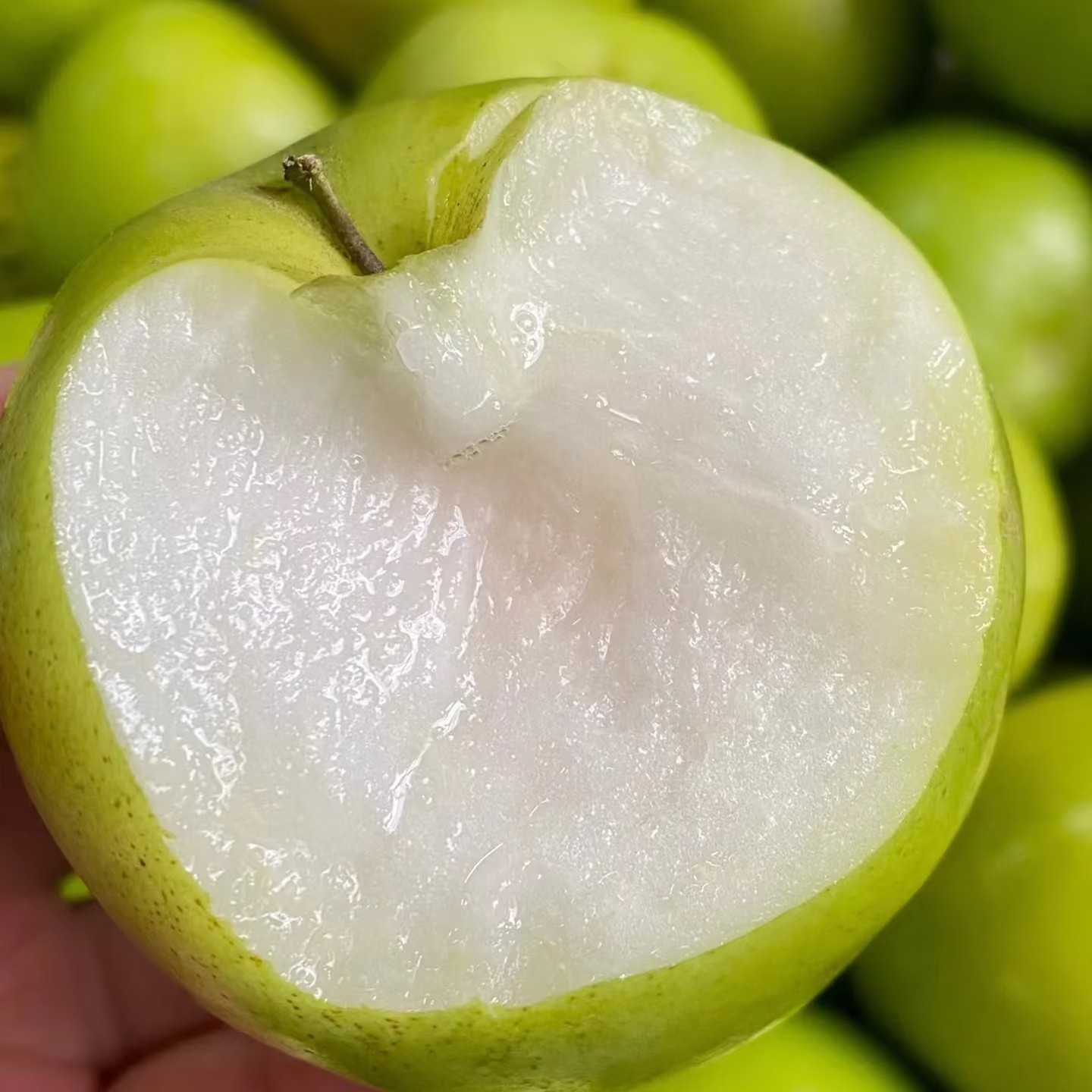 新鲜精品苹果枣（1000克）