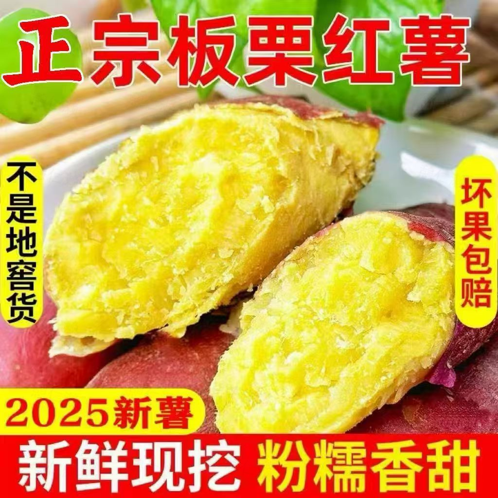 【现挖现发】河南正宗沙地板栗红薯新鲜粉糯香甜无筋无丝黄心地瓜