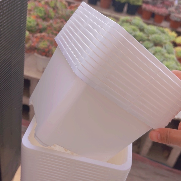 160白方盆15公分高11公分12个