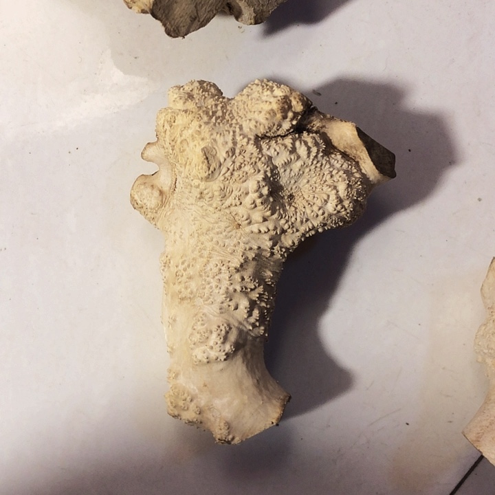 曲***、木木料木料木料木料