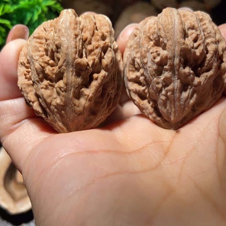 把件文玩核桃东北楸子小雪219