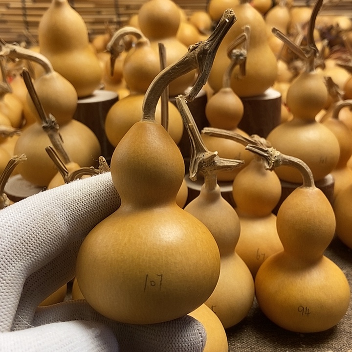 文玩葫芦 完美主义者 慎拍107