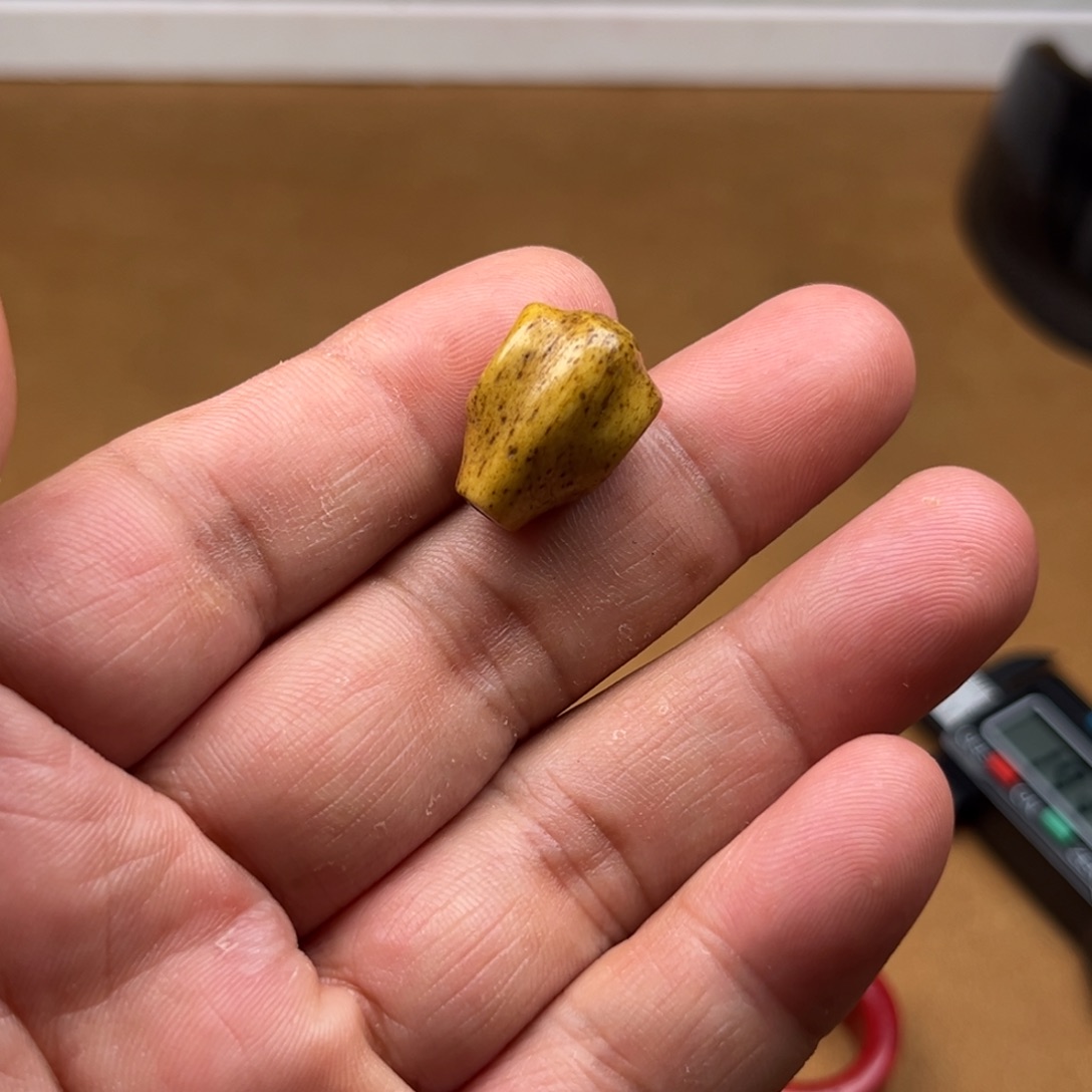 其他驼骨好看又好看
