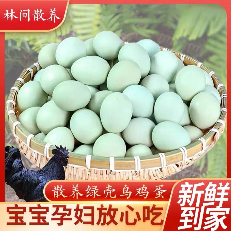 绿壳五黑鸡初生蛋绿壳富硒乌鸡蛋次日达