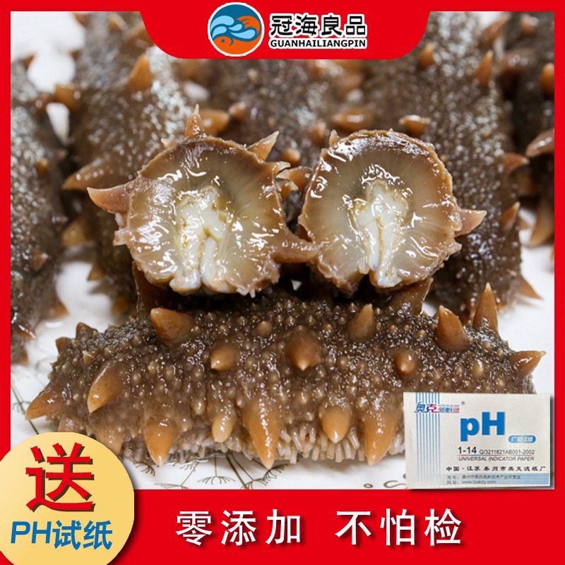 【保证货对版】三斤零添加即食大连海参冠海良品刺参 /500g