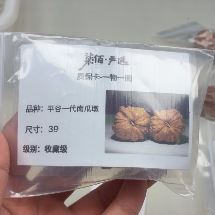 把件文玩核桃39南瓜墩