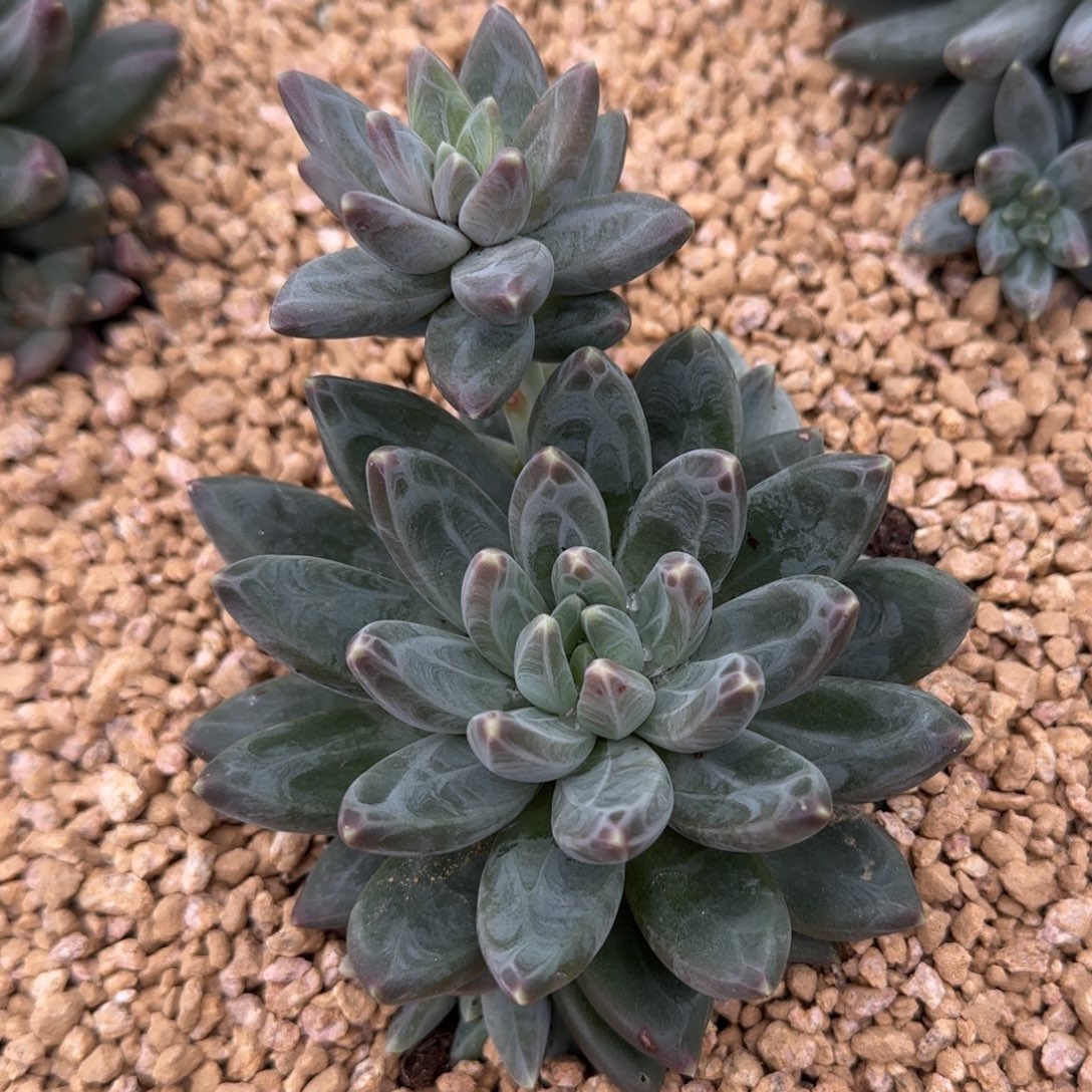 啊啊啊啊啊啊啊啊啊啊