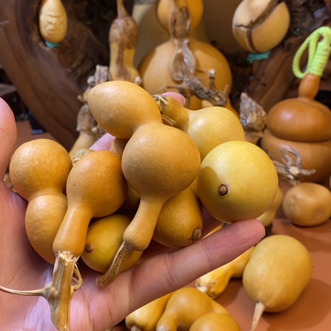 初***一桂林教练教练咯咯嘛