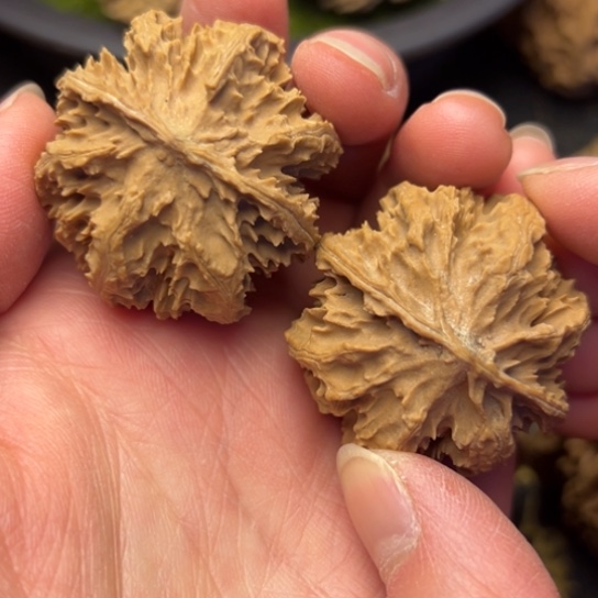 文玩核桃把件秦岭核桃5