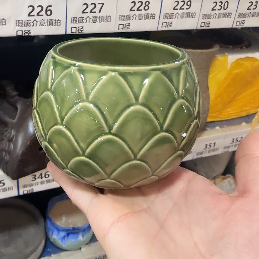 福利局绿植多肉盆［凑9元包邮24小时发］225