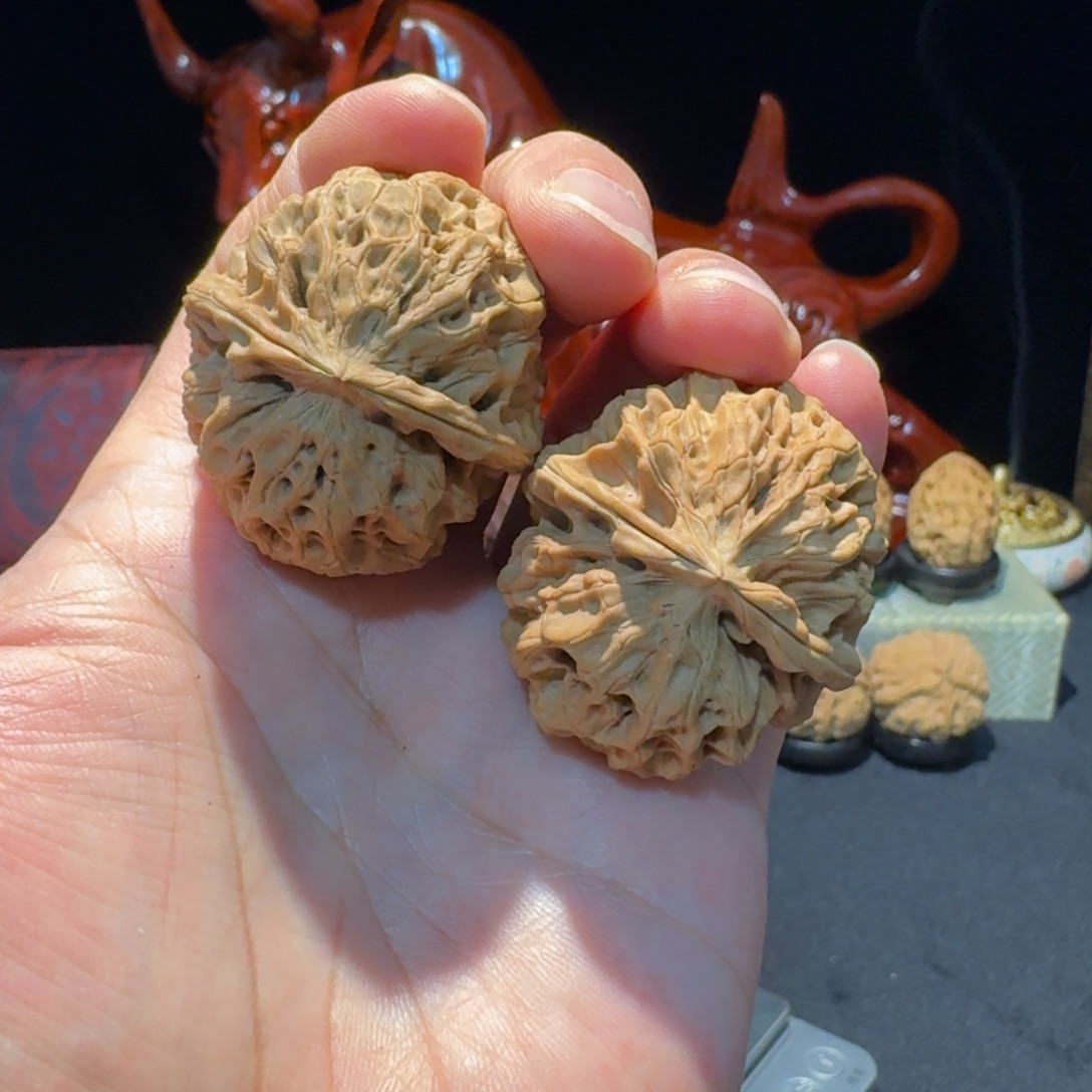 文玩核桃把件云南铁核桃6