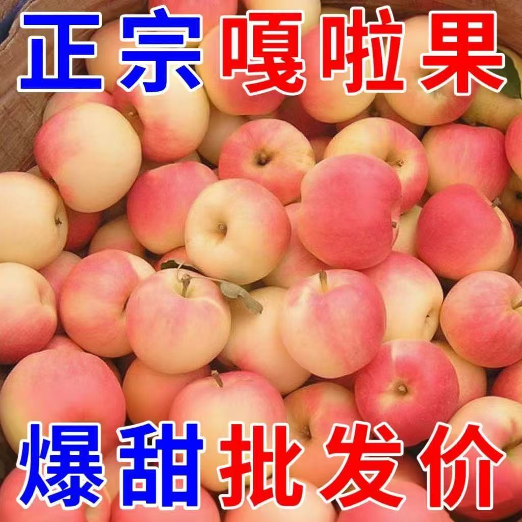 新鲜现摘青红嘎啦苹果酸甜可口孕妇解馋当季水果