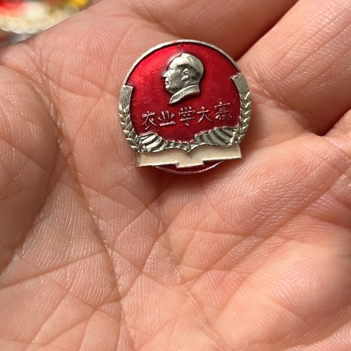 p***d其他普通金属普通纪念章一枚