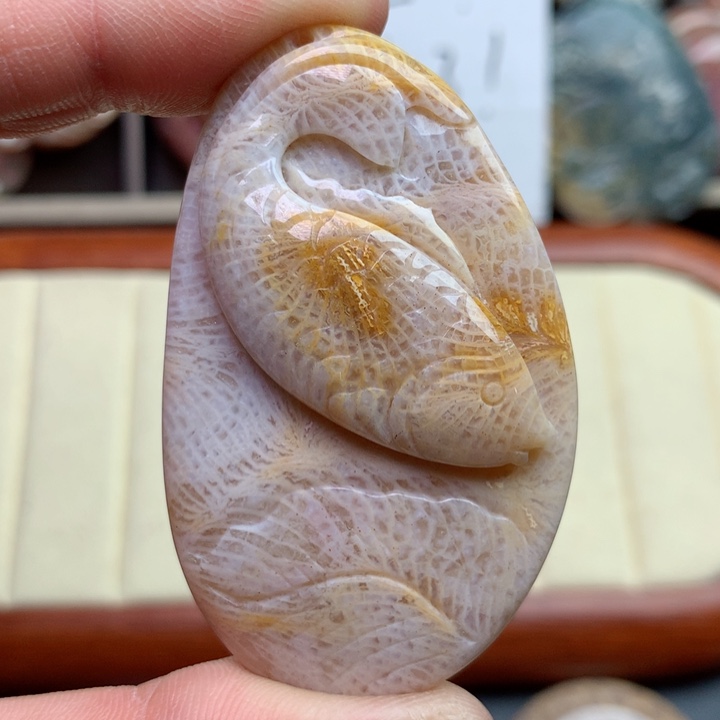 硅化珊瑚（珊瑚玉）颈饰未镶嵌