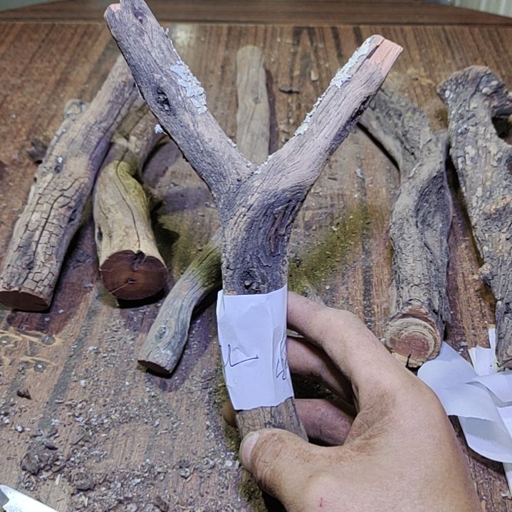 夹***行火琉璃原杈不保沉水慎拍！