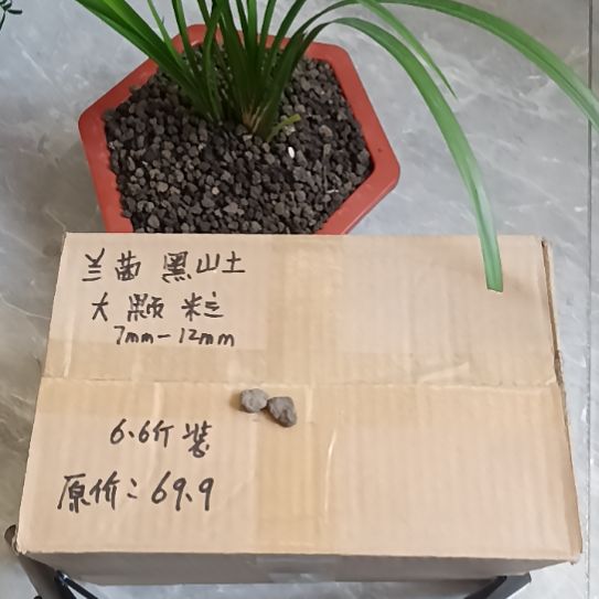 千***人兰菌黑山土大颗粒6.6斤
