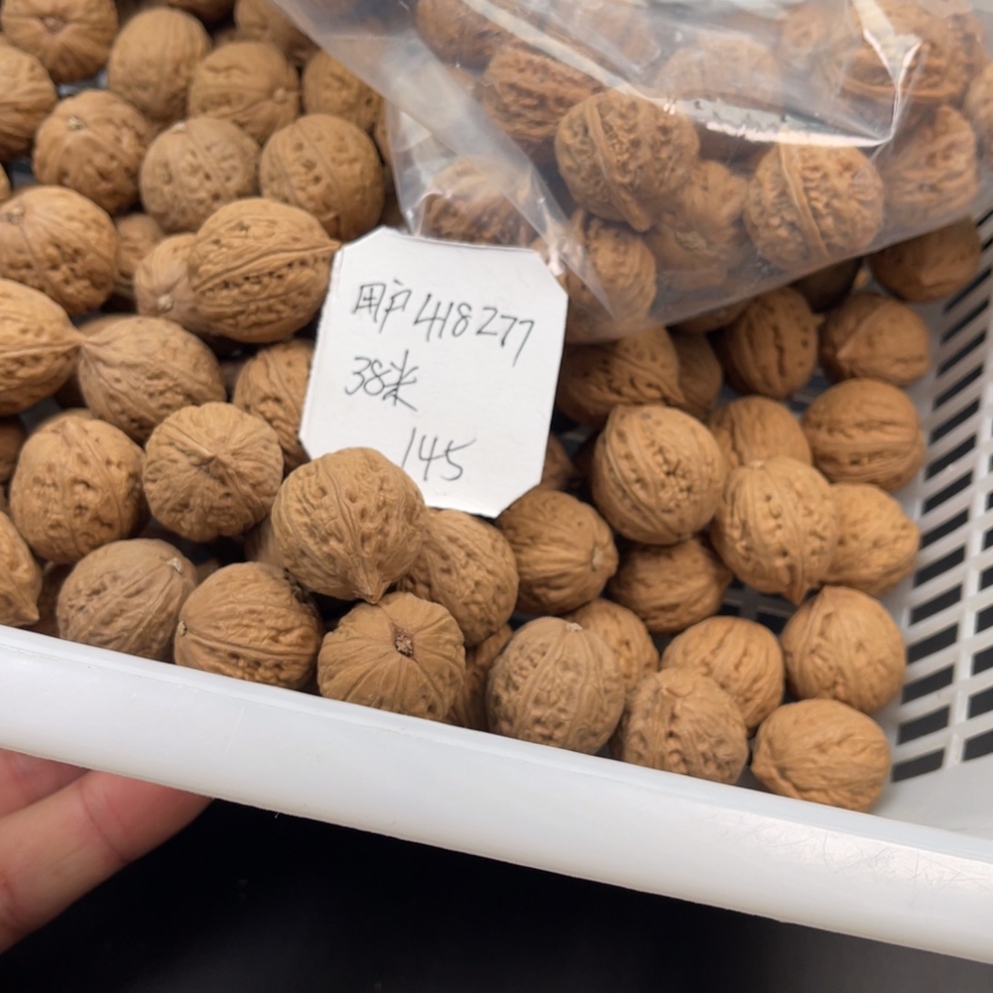 用***5野生小核桃145颗38包邮