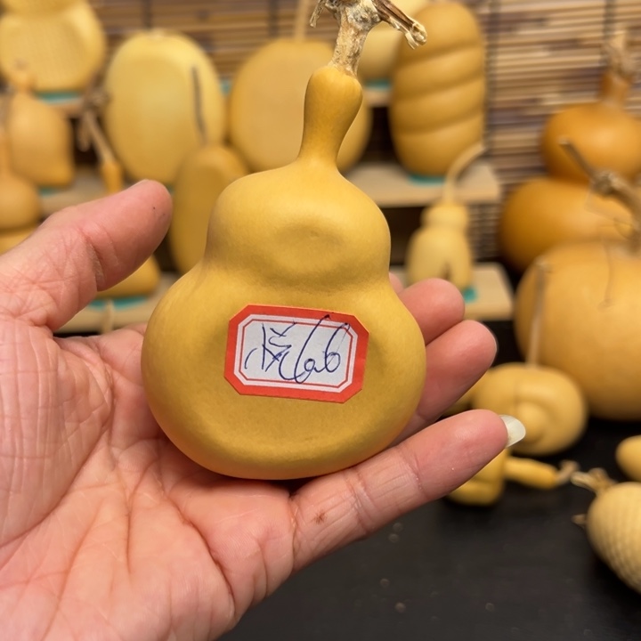 小*悦葫芦葫芦葫芦葫芦葫芦葫芦葫芦