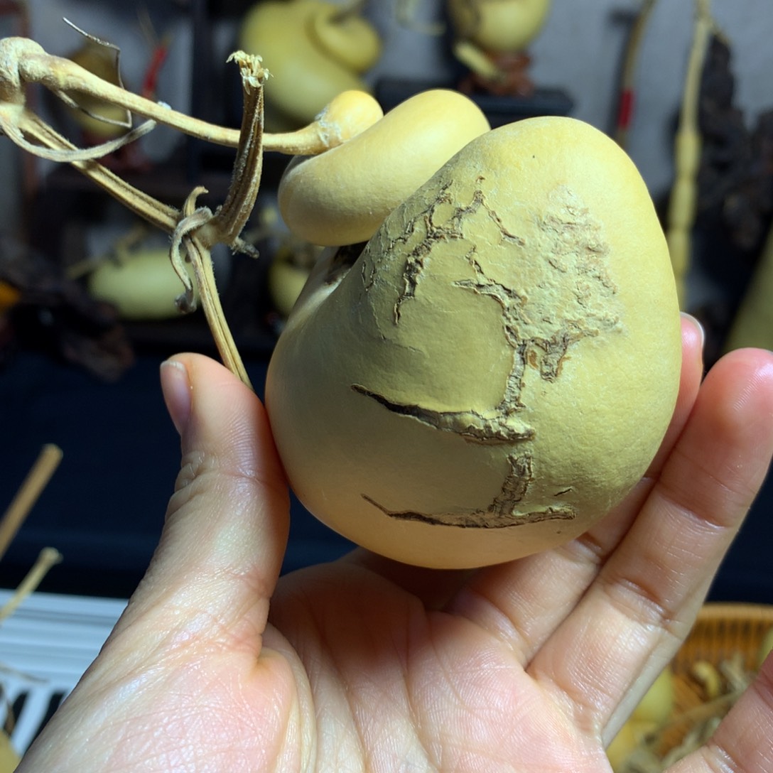 圆***圆葫芦葫芦真的好可爱啊呜呜好