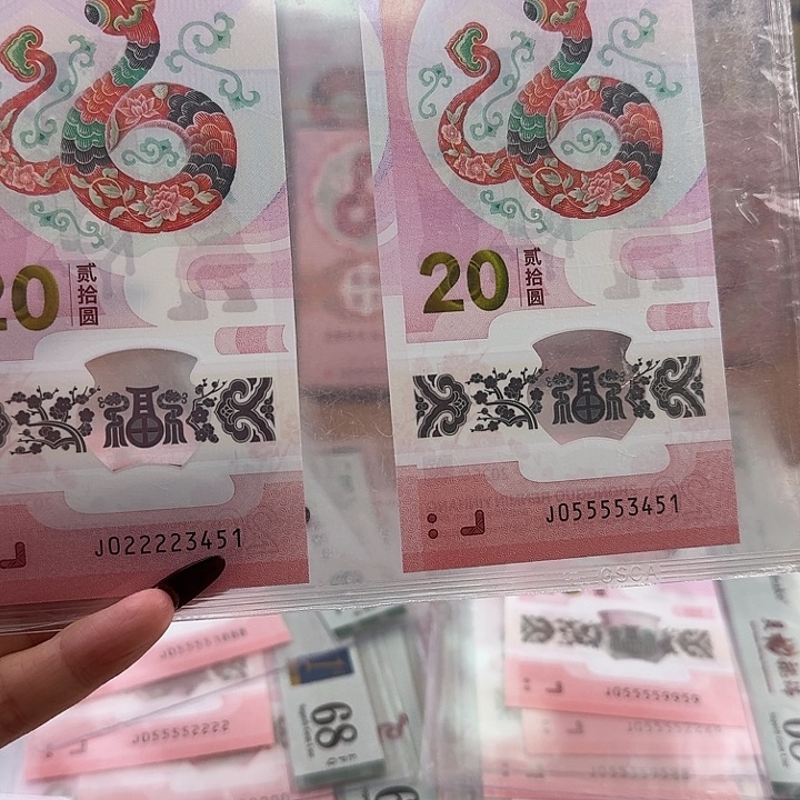 塑料币证九龙令双胞胎尾3451