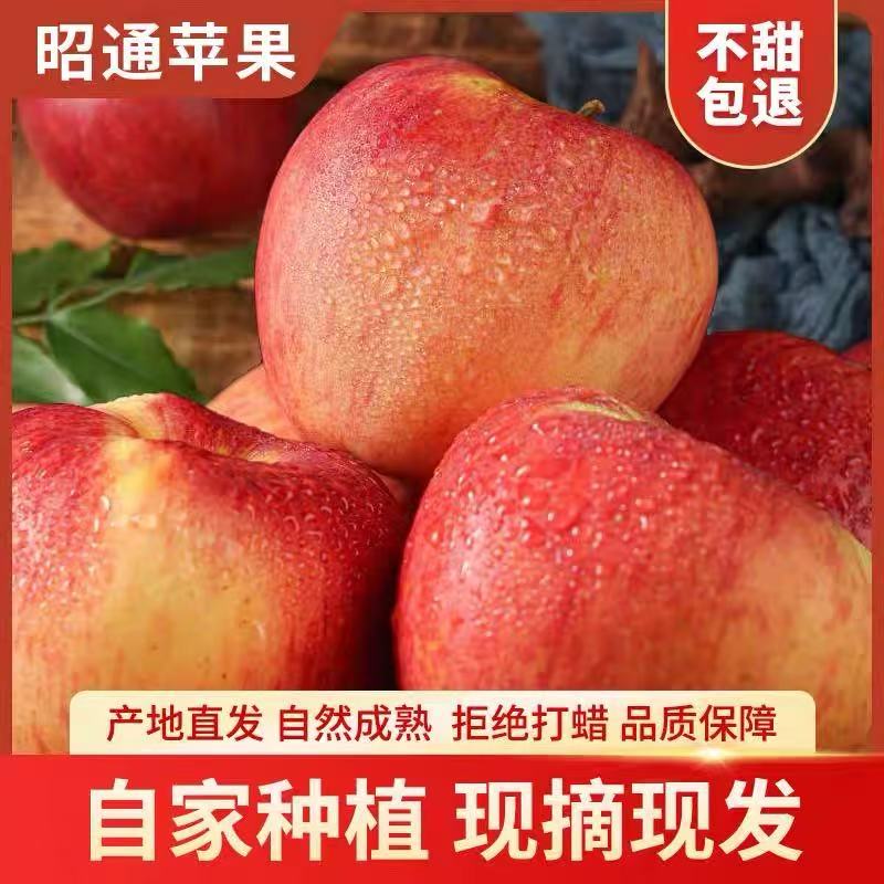 老粉囤货精品优选果+瑕疵果混装云南昭通冰糖心苹果糖心率50%