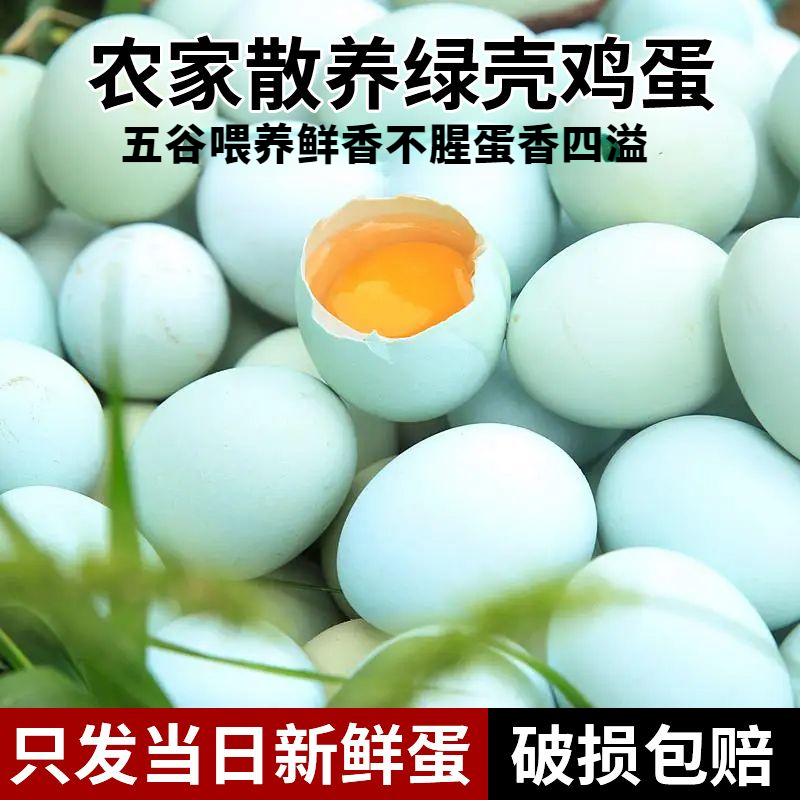 【助农】散养正宗土鸡蛋鲜忆佰佳绿壳山鸡蛋柴鸡蛋乌鸡蛋绿壳鸡蛋大