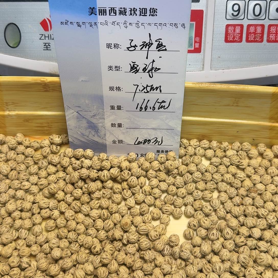 柏香籽/百香籽吊坠