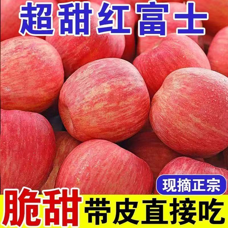 正宗产地山东红富士苹果脆甜多汁冰糖现货速发当季水果一整箱批发