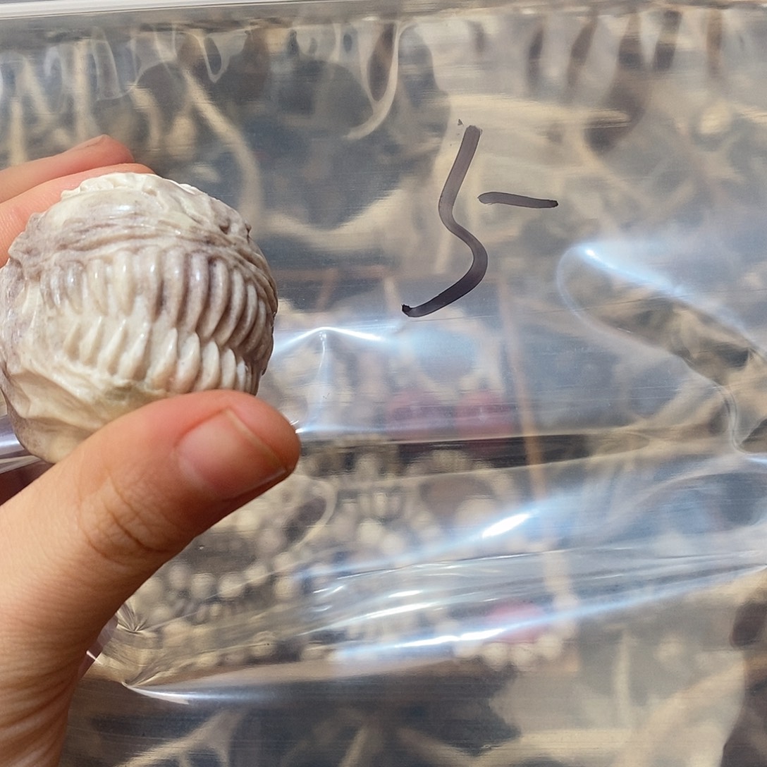 u***6非金属鹿角鹿角鹿角