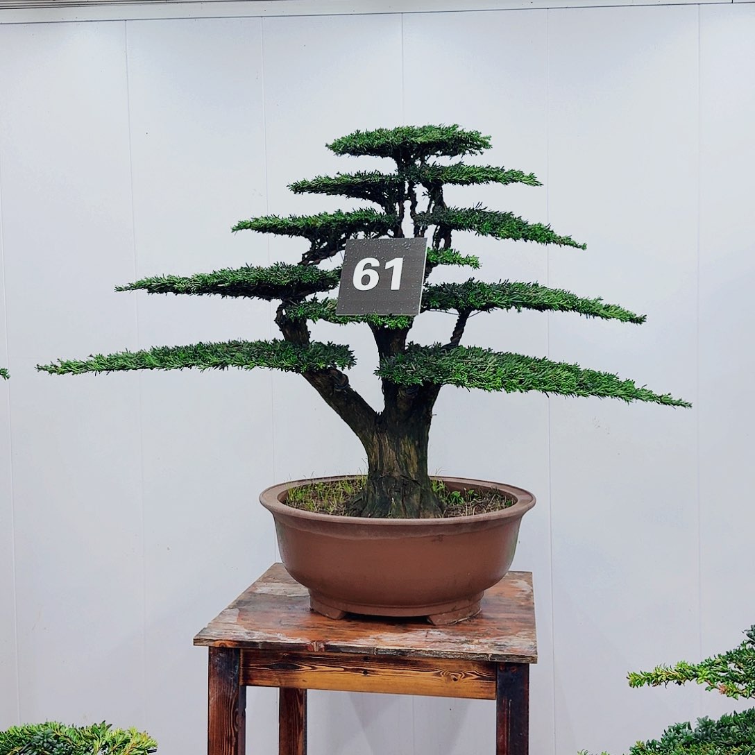 无花朵新*程0000000000000