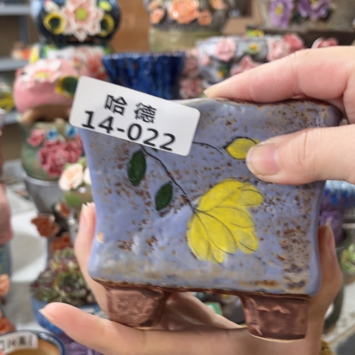 【闪购商品】红陶1422