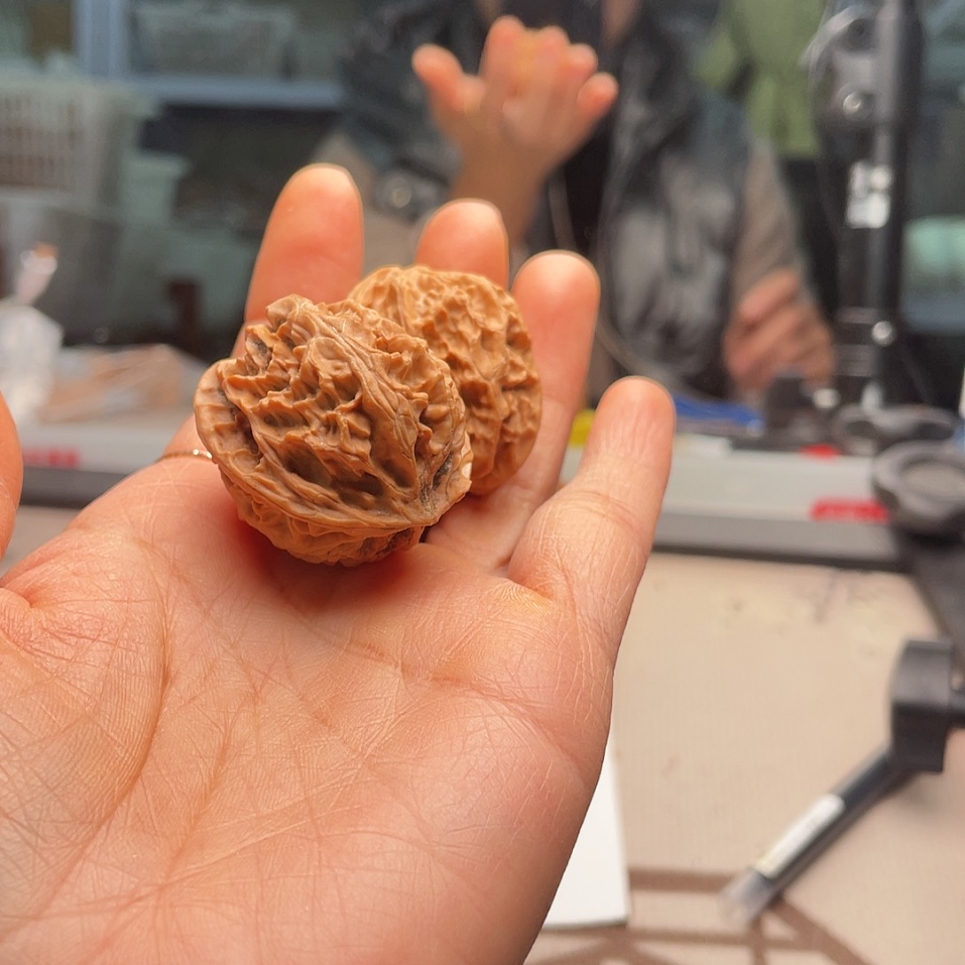 冷****肠元宇宙等一代